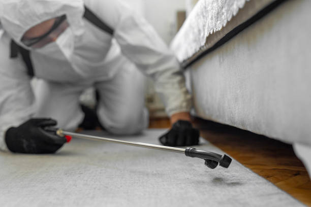 Professional Ant Control technician working in Channel Lake, IL