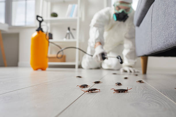 Trusted Rodent Control service in Channel Lake, IL - Nex Pest Control